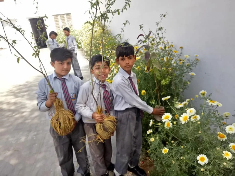 Green Seekers Activity